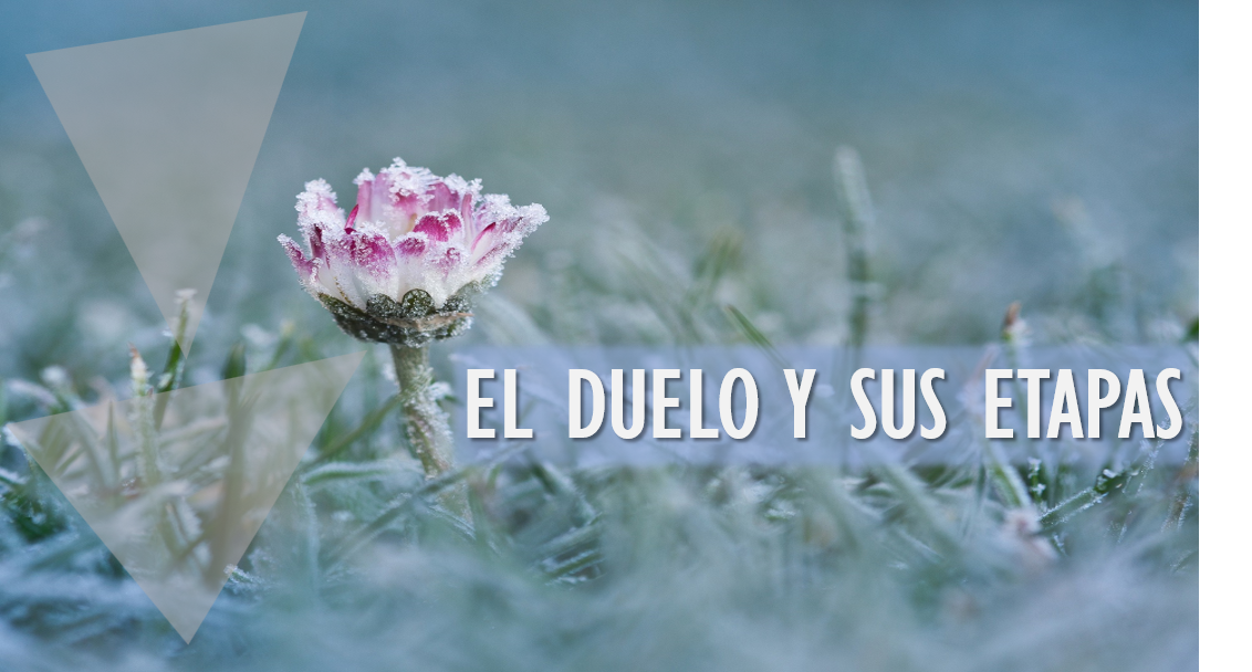 DUELO Y SUS ETAPAS